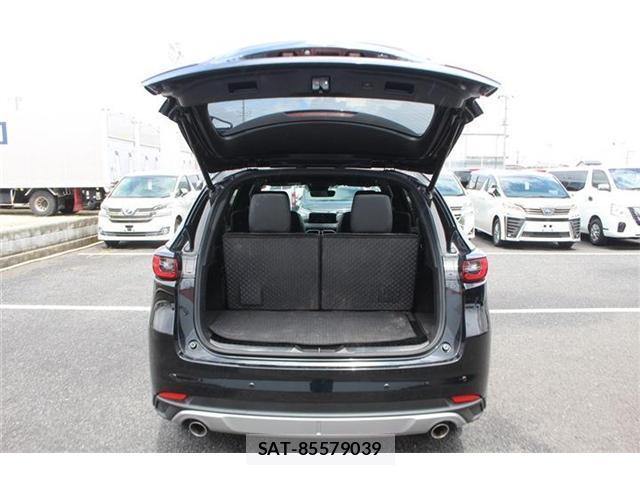 Mazda CX-8 2023-12 8379652-19