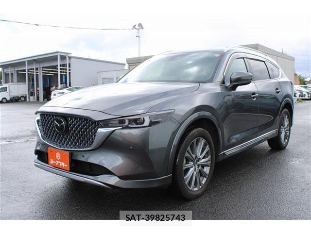 Mazda CX-8 2023-06 8379712-13