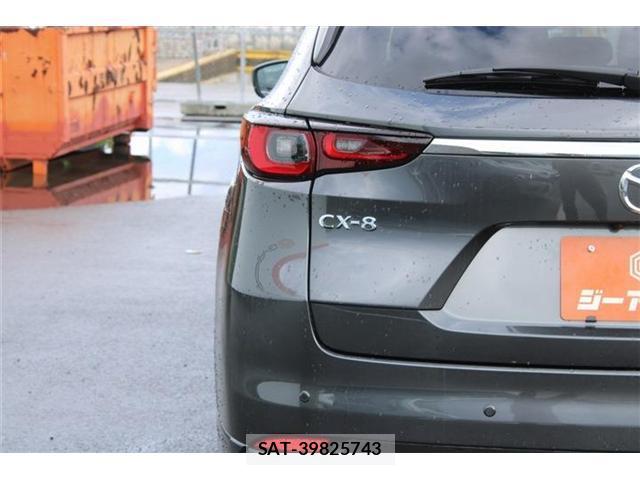Mazda CX-8 2023-06 8379712-17