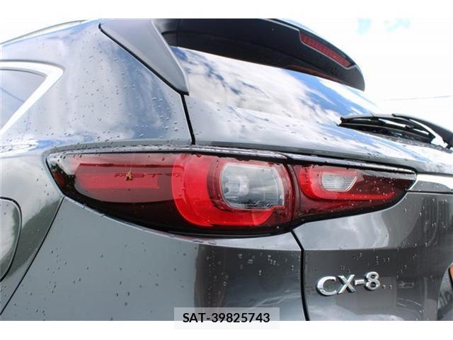 Mazda CX-8 2023-06 8379712-19