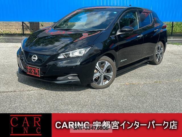 Nissan LEAF 2022-01 8379332-0