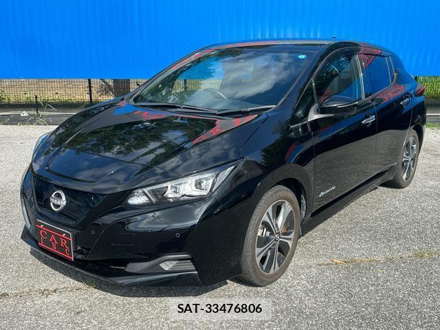 Nissan LEAF 2022-01 8379332-6