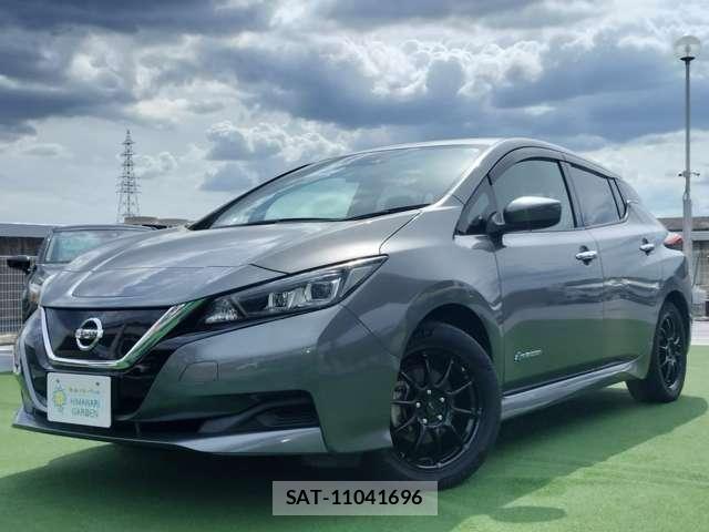 Nissan LEAF 2019-01 8379479-0