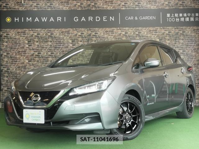 Nissan LEAF 2019-01 8379479-15