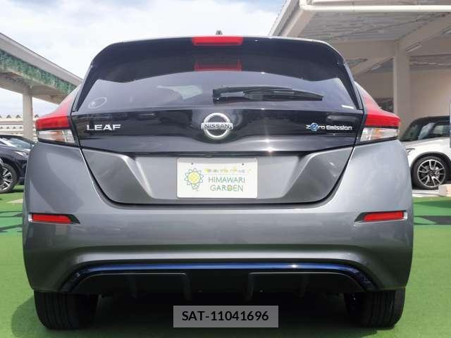 Nissan LEAF 2019-01 8379479-17
