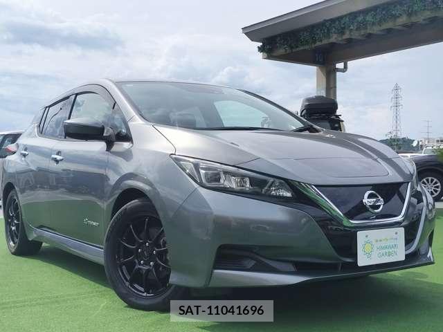 Nissan LEAF 2019-01 8379479-2