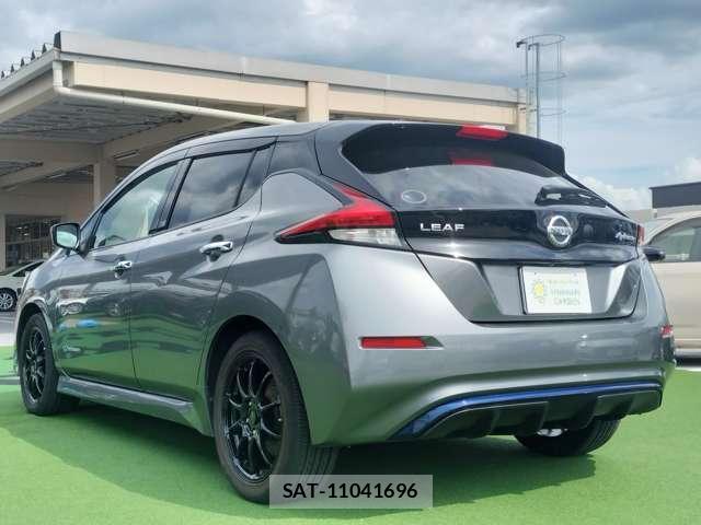 Nissan LEAF 2019-01 8379479-3