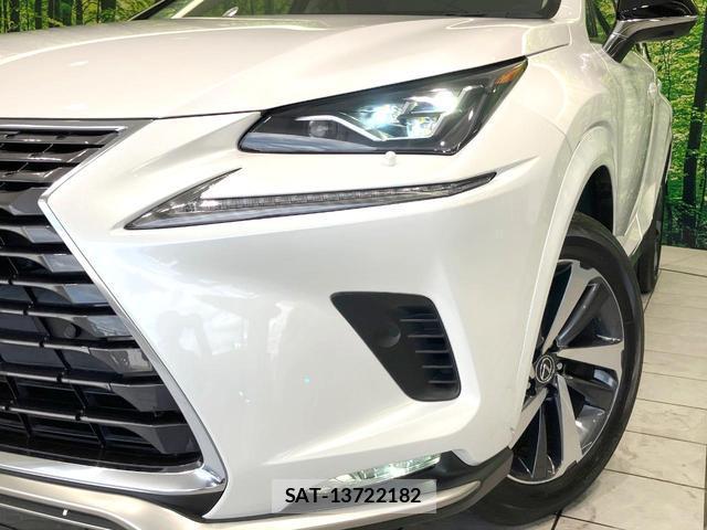 Lexus NX 2021-06 8378577-11