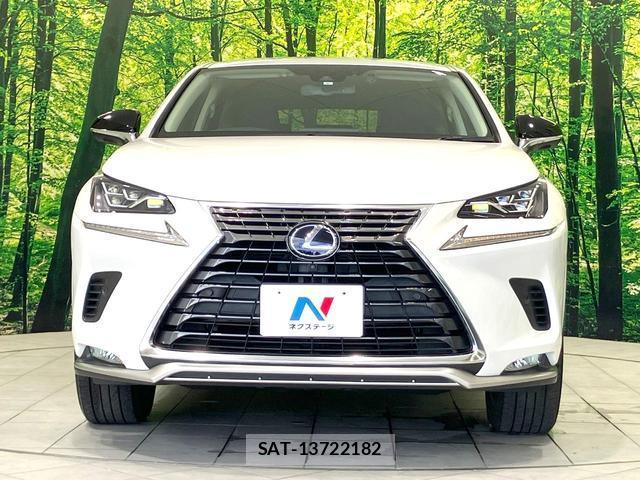 Lexus NX 2021-06 8378577-13