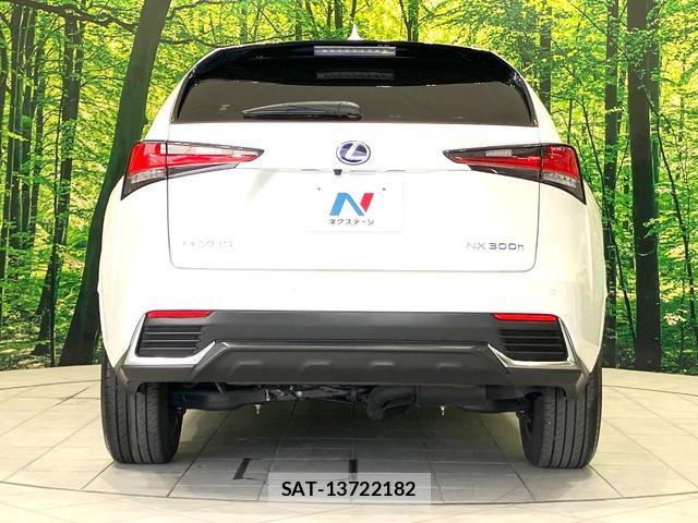 Lexus NX 2021-06 8378577-14