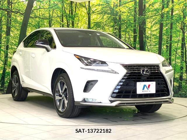 Lexus NX 2021-06 8378577-15
