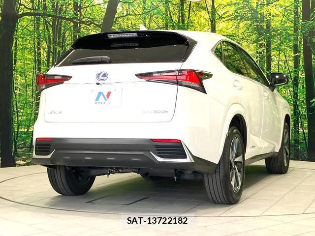 Lexus NX 2021-06 8378577-16