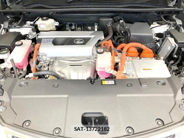 Lexus NX 2021-06 8378577-17