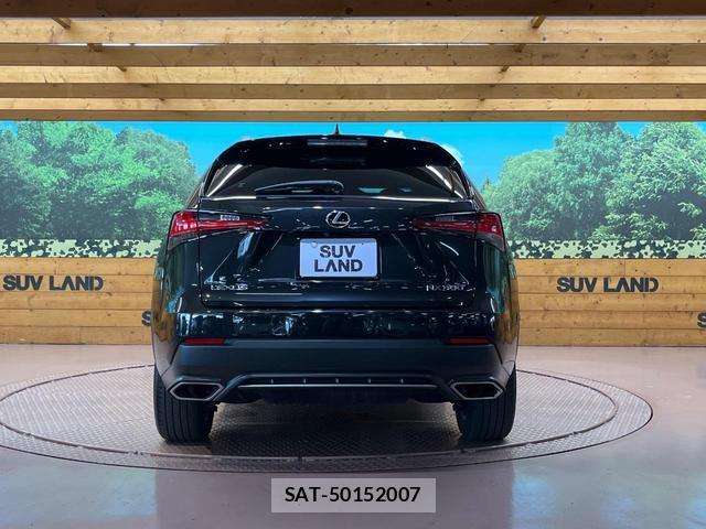 Lexus NX 2018-04 8379970-13
