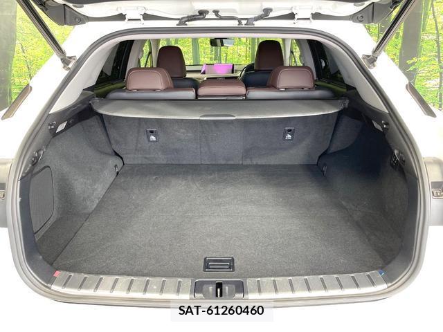 Lexus RX 2016-02 8379932-9