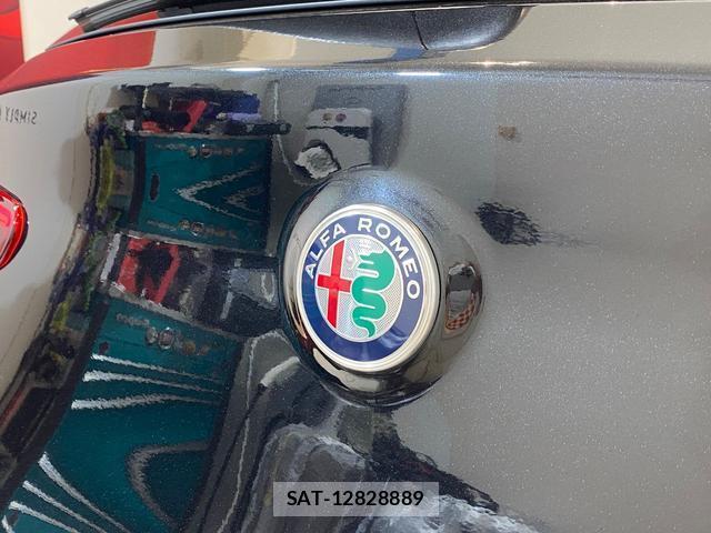 ALFA ROMEO STELVIO 2019-03 8378521-12