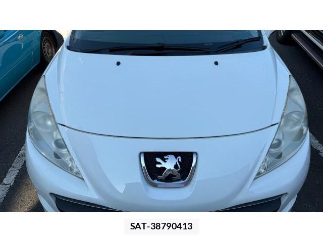Peugeot 207 2012 8434564-18