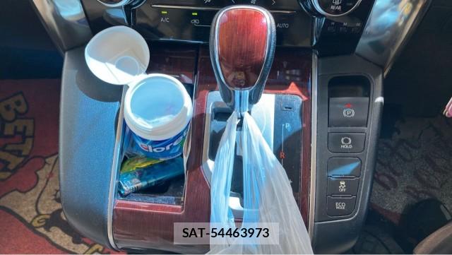 Toyota ALPHARD 2017-12 8434720-14