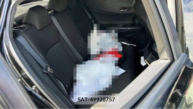 Toyota C-HR 2019-01 8434678-6