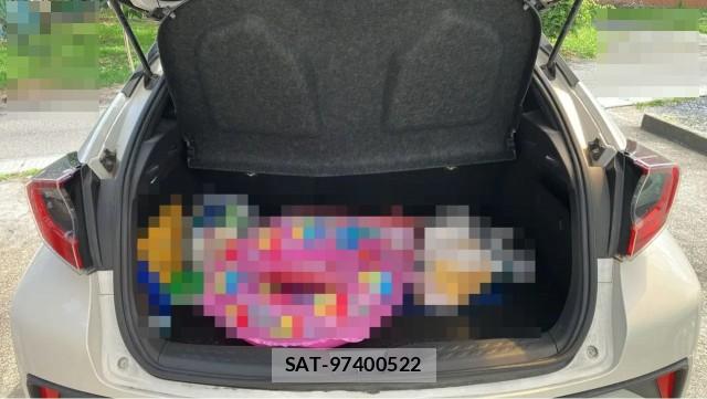 Toyota C-HR 2018-04 8434694-17