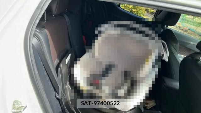 Toyota C-HR 2018-04 8434694-6