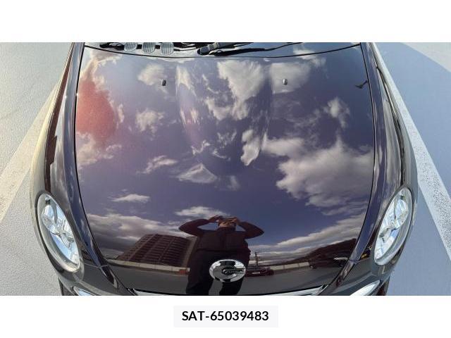 Daihatsu COPEN 2009-10 8434442-18