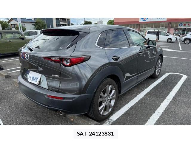 Mazda CX-30 2019-10 8434391-13