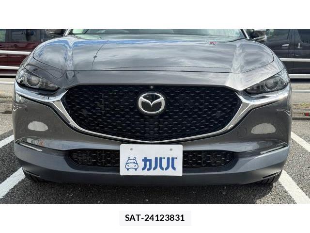 Mazda CX-30 2019-10 8434391-19