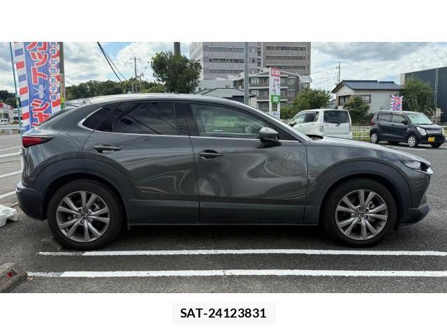 Mazda CX-30 2019-10 8434391-2