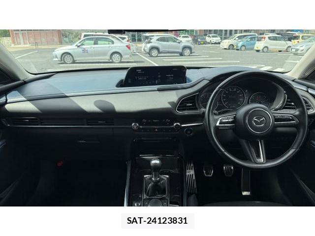 Mazda CX-30 2019-10 8434391-3