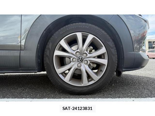 Mazda CX-30 2019-10 8434391-6