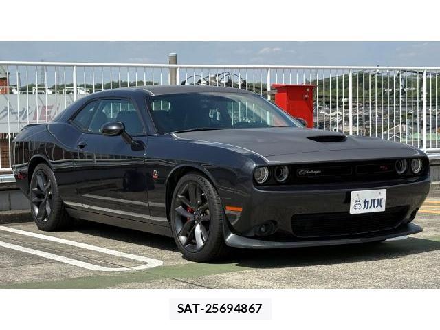 Dodge CHARGER 2019-12 8434505-19