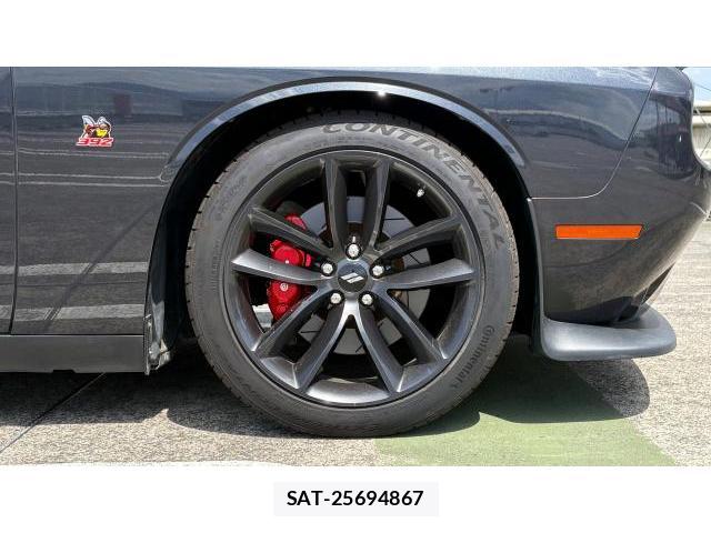 Dodge CHARGER 2019-12 8434505-7