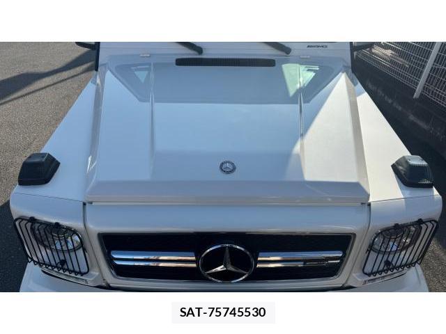 Mercedes Benz G-CLASS 2016 8434440-17