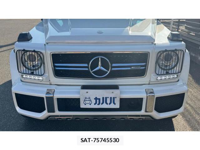 Mercedes Benz G-CLASS 2016 8434440-18