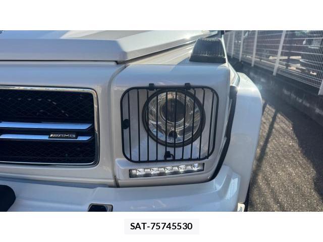 Mercedes Benz G-CLASS 2016 8434440-19