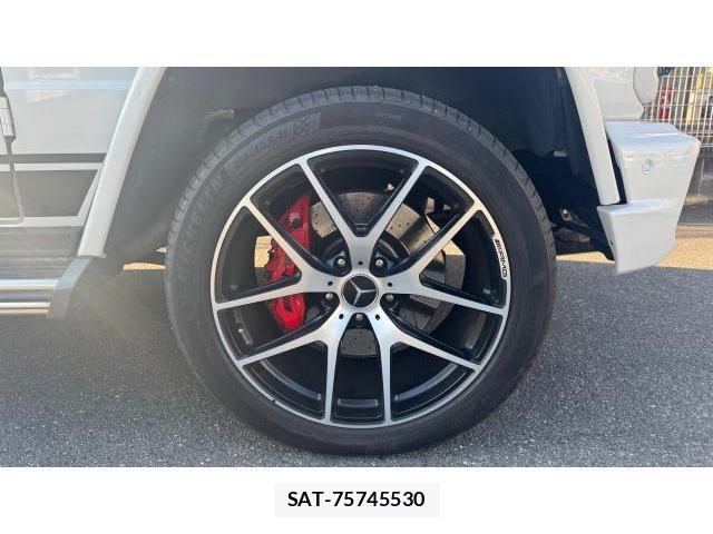 Mercedes Benz G-CLASS 2016 8434440-6