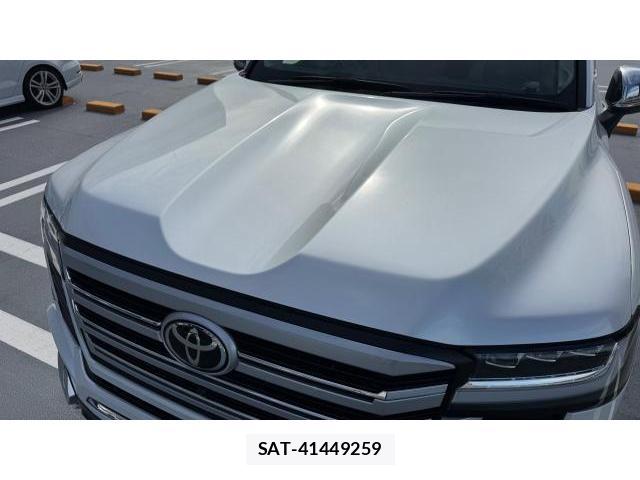 Toyota LAND CRUISER 2025 8434596-19