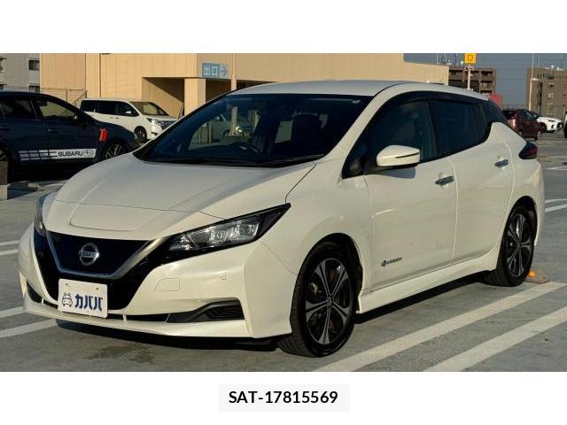 Nissan LEAF 2019-10 8434313-0