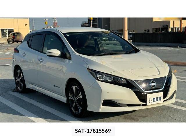 Nissan LEAF 2019-10 8434313-16