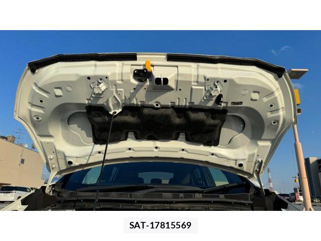 Nissan LEAF 2019-10 8434313-9