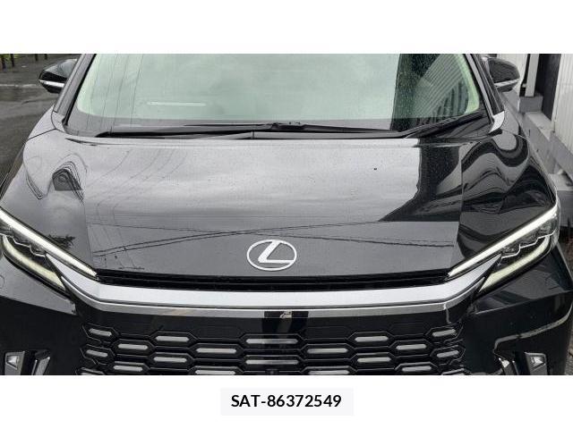Lexus LM 2024 8434378-19