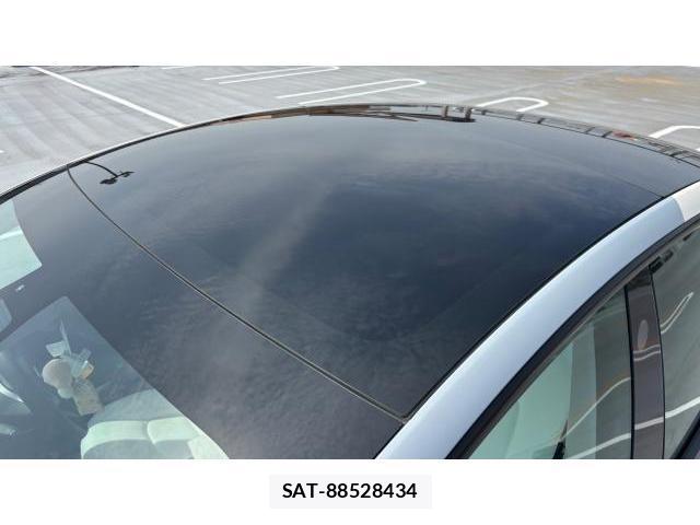 Tesla MODEL 3 2021 8434369-17