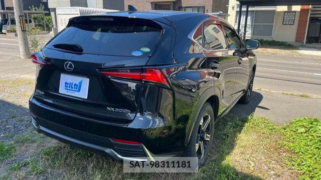 Lexus NX 2017-10 8434701-12