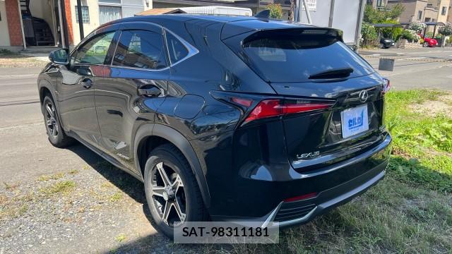 Lexus NX 2017-10 8434701-13