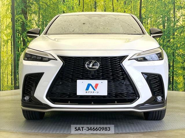 Lexus NX 2023-12 8435107-13