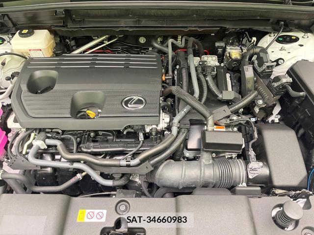 Lexus NX 2023-12 8435107-17