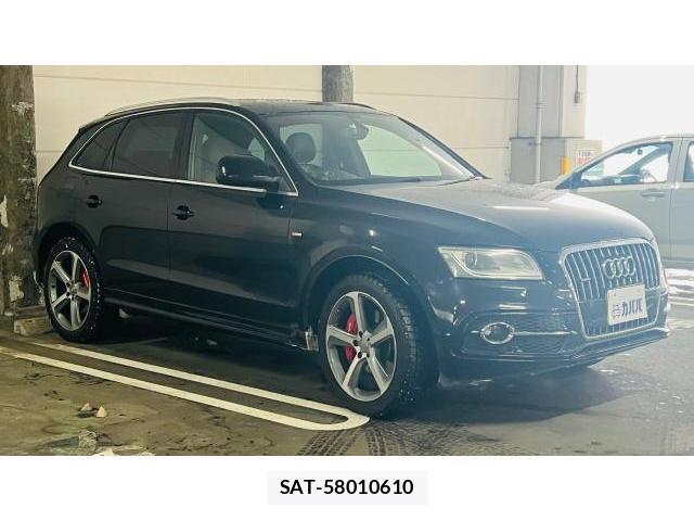 Audi Q5 2012-11 8434324-14