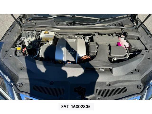 Lexus RX 2021 8434318-12