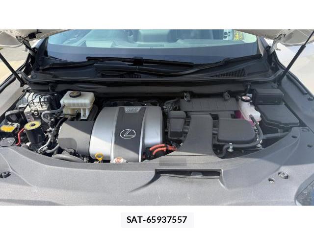 Lexus RX 2019-11 8434522-7